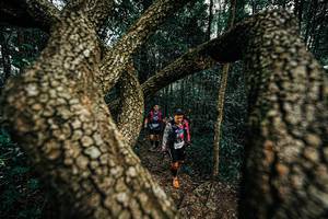 BIB: 
                            <button type="button" onclick="openModal(25393424)" class="btn btn-primary btn-sm float-right btn-popup" data-toggle="modal" data-target=".modal-high-quality">
                        <i class="fas fa-shopping-cart"></i> Add to Cart
                    </button>
                                            <button type="button" onclick="isThisMe(25393424, true)" class="btn btn-success btn-sm float-right btn-popup btn-isme hidden" data-toggle="tooltip" data-placement="bottom" title="นี่คือรูปของคุณใช่ไหม คลิกที่นี่เพื่อเอาเข้าอัลบั้ม">
                        <i class="fas fa-plus"></i> Add to album
                    </button>
                    <button type="button" onclick="isThisMe(25393424, false)" class="btn btn-warning btn-sm float-right btn-popup btn-isnotme hidden">
                        <i class="fas fa-ban"></i> Remove from album
                    </button>